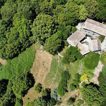 Mas Des Nabieres Bed & Breakfast Saint-Martial  Dış mekan fotoğraf