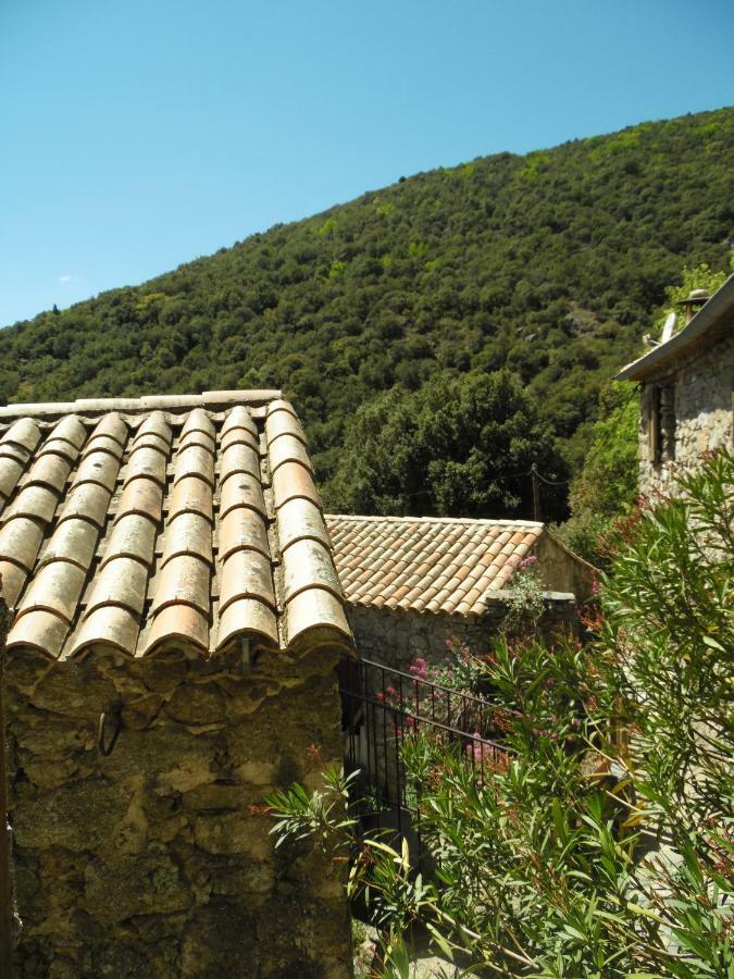 Mas Des Nabieres Bed & Breakfast Saint-Martial  Dış mekan fotoğraf