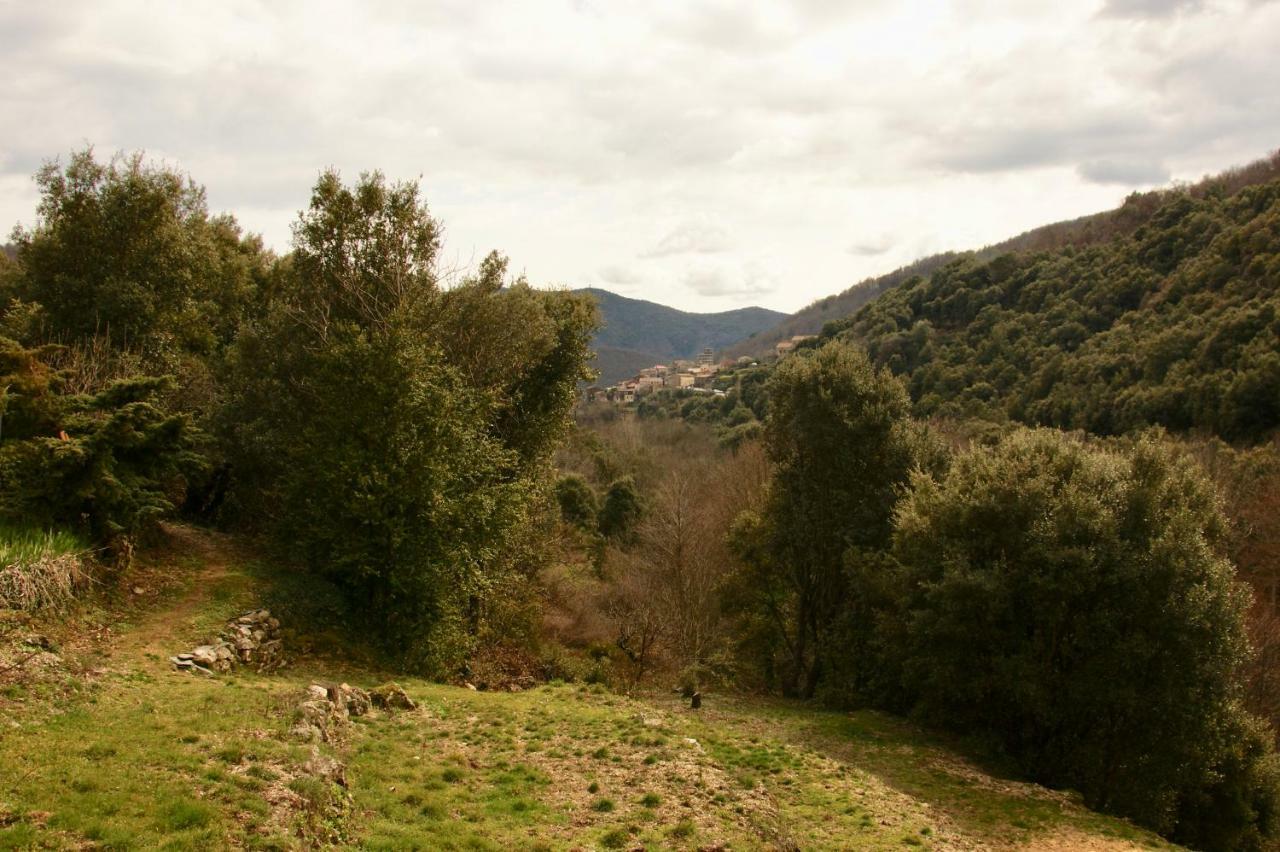 Mas Des Nabieres Bed & Breakfast Saint-Martial  Dış mekan fotoğraf